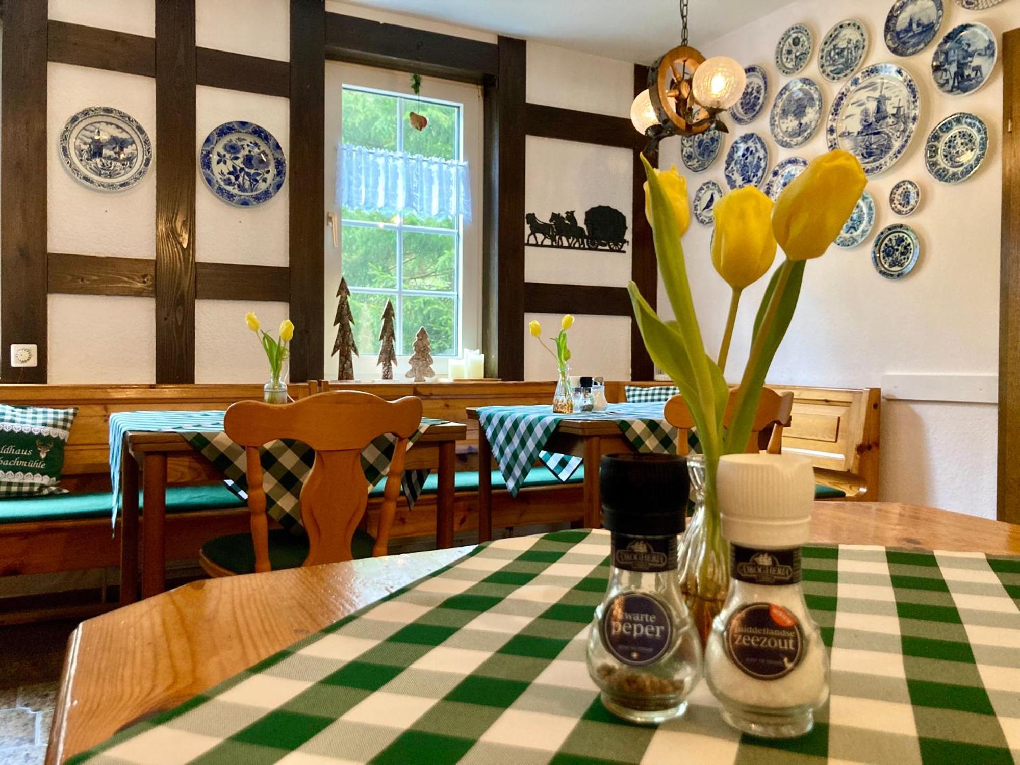 Hohegeiß Waldhaus Wolfsbachmuehle酒店 外观 照片